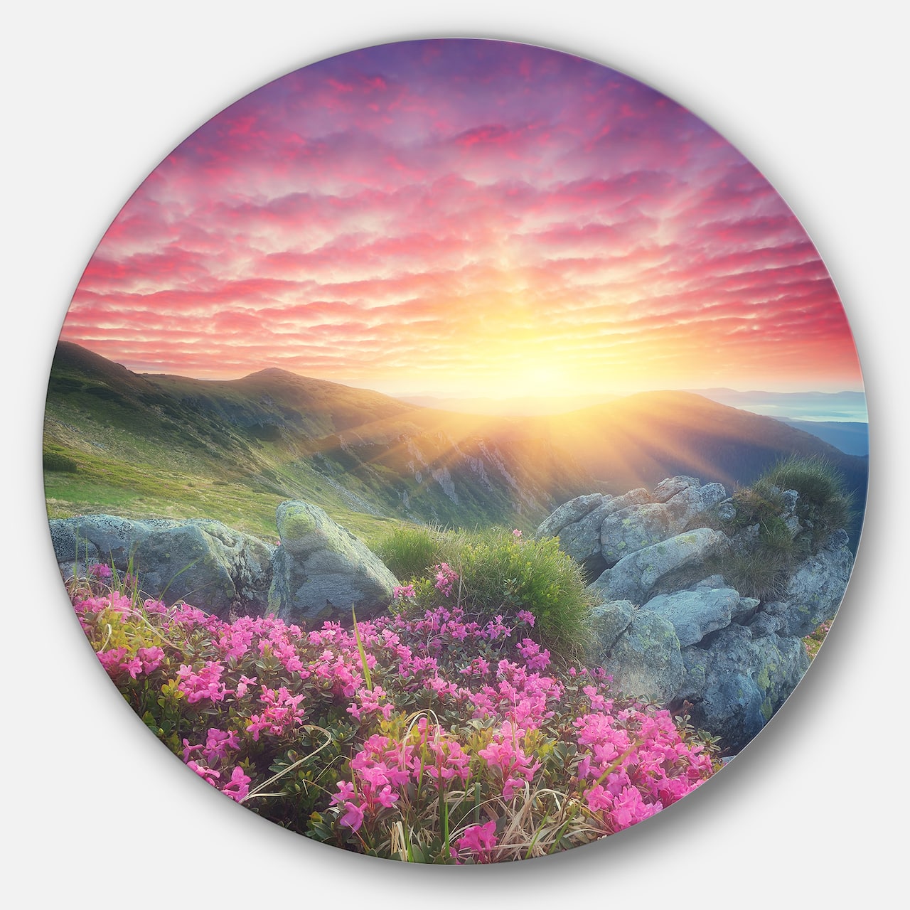 Designart - Morning with Flowers in Mountains' Landscape Photography Circle Metal Wall Art